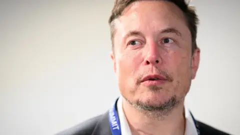 Getty Images Musk at an AI conference in November