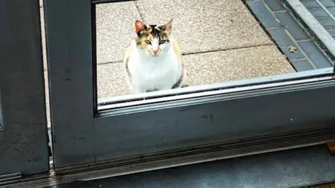 Exeter City Council A photo of Pudding