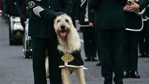 Pacemaker UK Armed Forces Day in Banbridge in 2022