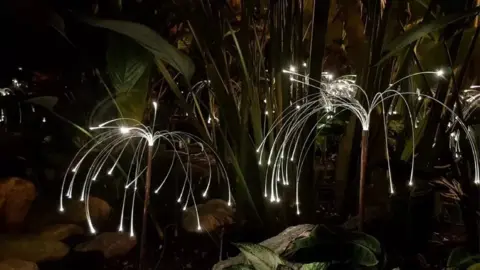 Bruce Munro Firefly light