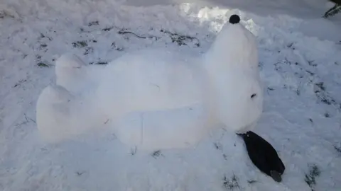 Gemma Cummins Snow Snoopy having a lie down in Glasgow. Taken by Gemma Cummins