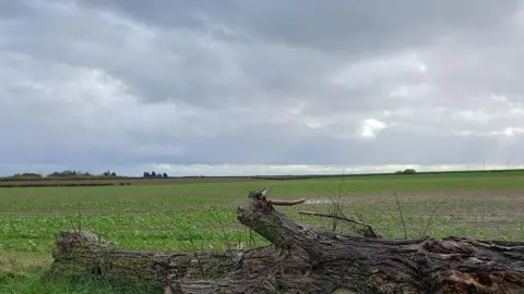 Land near Scredington that would be flooded under reservoir proposals by Anglian Water