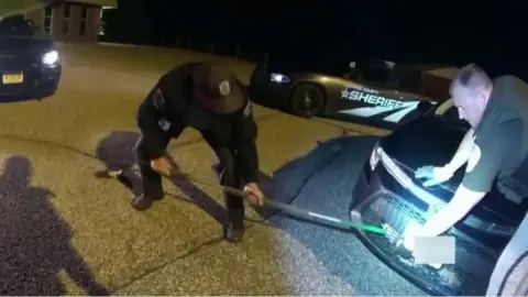 A bobcat being rescued from a car.