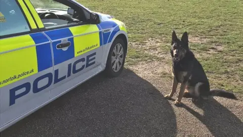 @NSPoliceDogs Police dog Harry with police car