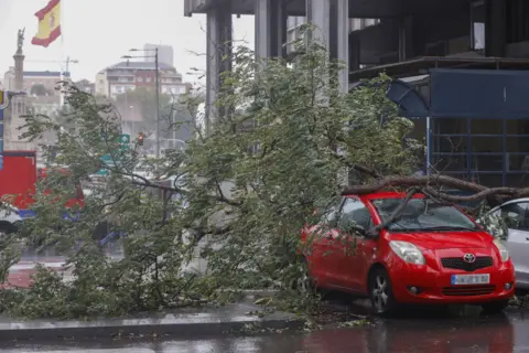 EPA A view of cars damaged by a fallen tree due to heavy gusts of wind in a street of downtown Madrid, Spain, 02 November 2023.