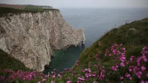 Getty Images Bempton Cliffs, East Yorkshire