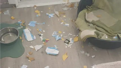 CCFC Prints Chewed tickets