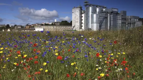 Trevor Day Trevor Day image