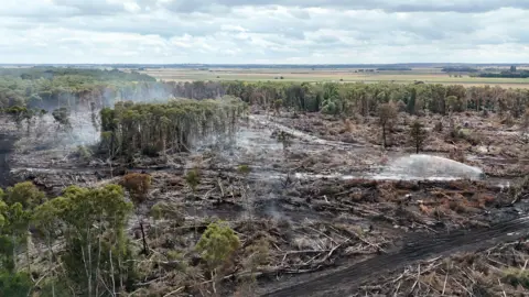 PA Media Birds-eye view of the damaged and burnt nature reserve. Some clouds of white smoke can be seen in the air, and a spray of water is dousing the ground.