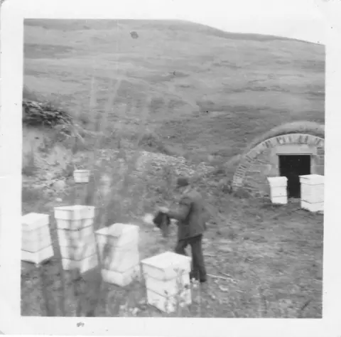 Hoods Honey White bee hives in a field as a man tends to them