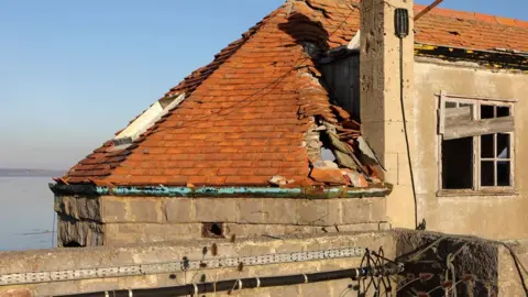 The Birnbeck Regeneration Trust Damaged roof pier