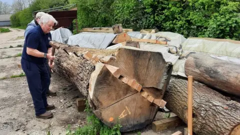 The Sutton Hoo's Ship Company A volunteer cleaving an oak tree to make into a plank