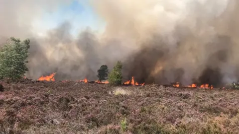 Alan Johnson Fire on Hankley Common