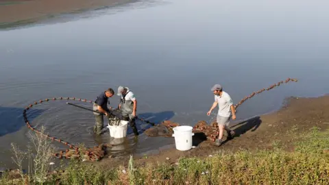 Reuters Farmers rescue fishes from the almost dried-up Landes pond in Lussat, central France