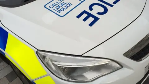 Police car generic