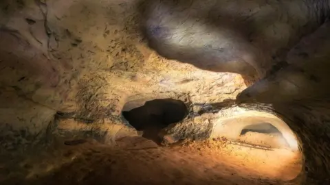 Lamar Francois Caves