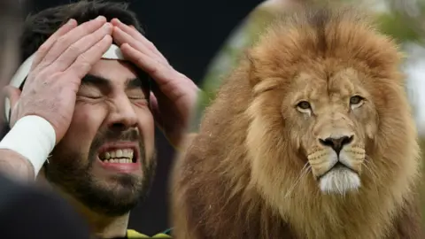 Scott Baldwin: Lion bites Wales and Ospreys rugby player