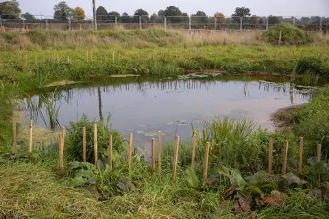 Phil Coomes/BBC New ponds and banks for wildlife have been created at the site in Broadwells Wood