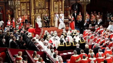 PA Media House of Lords during the Queen's Speech