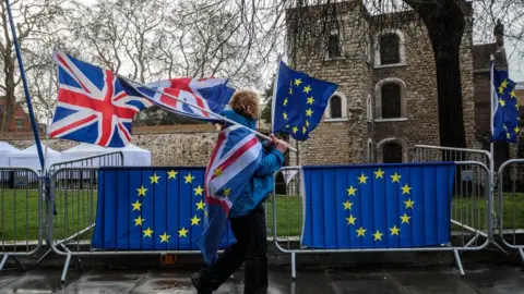 Getty Images Anti-Brexit protesters demonstrate outside the Houses of Parliament on 18 March 2019 in London