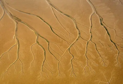 Mike Page Shapes in mudflats at Breydon Water in Norfolk that look like tree roots taken in 2011