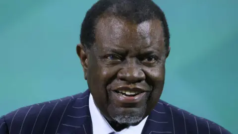 Getty Images President of Namibia Hage Geingob
