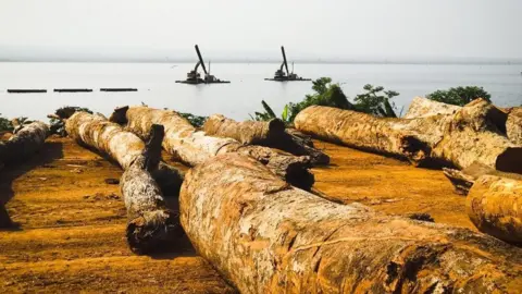 Dennis Ivers Logs of wood that have been salvaged from Lake Volta