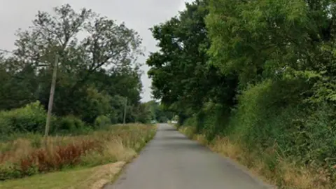 A country road, lined with trees on one side and long grass on the other side. 
