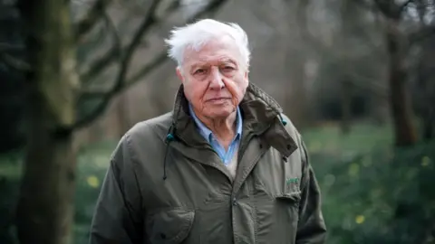 BBC/Polly Alderton David Attenborough