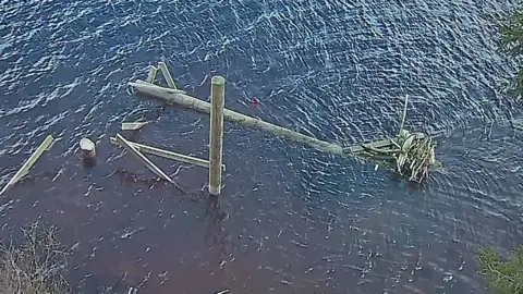 Nesting platform in the water