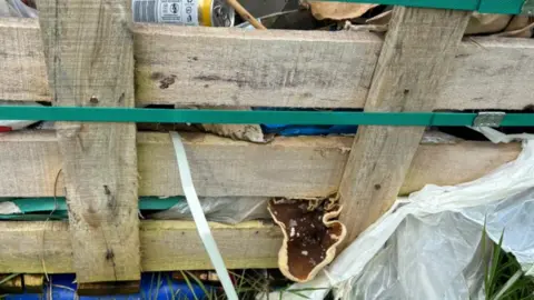 LDRS Rubbish seen to be growing fungi