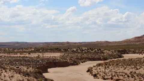 Image of a dried up river bed