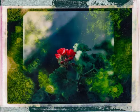 Nicola Muirhead Image from Unseen by Nicola Muirhead