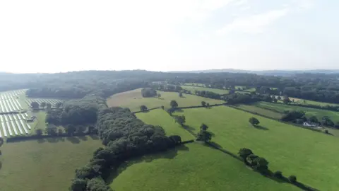 The Woodland Trust  The site dubbed Yonder Oak Wood