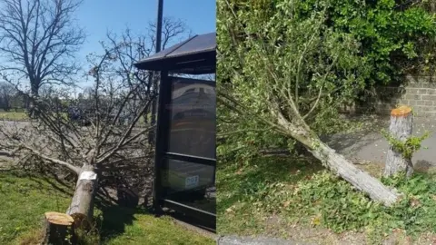 Surrey Police Felled trees
