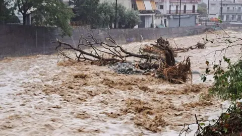 A fallen tree is seen in a flooded river in the city of Colos, Greece.