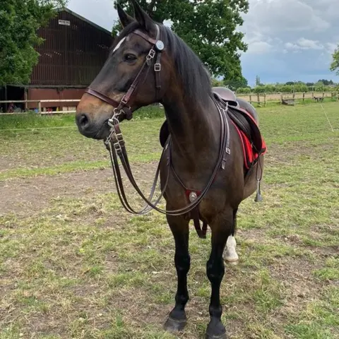 Lancashire Police Darwen in a field