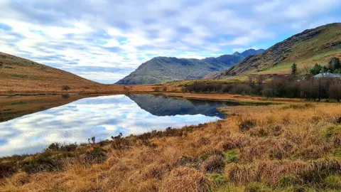 Emma Marshall Llynnau Diwaunydd