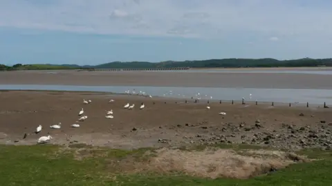 View from Canal Foot near Ulverston