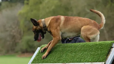 Nottinghamshire Police Russo