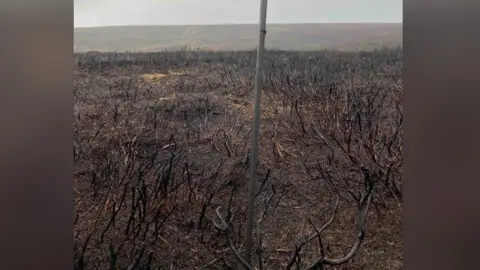 CPS Burned moorland in the Peak District