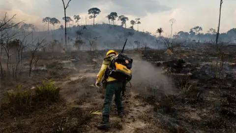 Getty Images Amazon fires