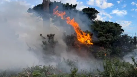 Guernsey Fire and Rescue Service Bon Port fire