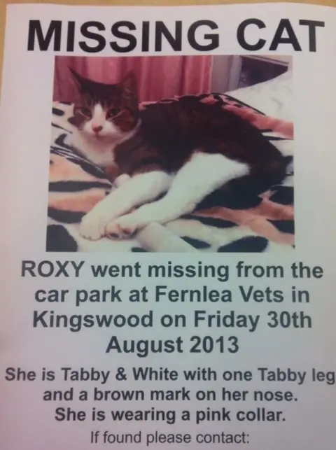 Vicky Stokes Missing poster for Roxy