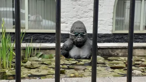 Chris Moss The plastic gorilla