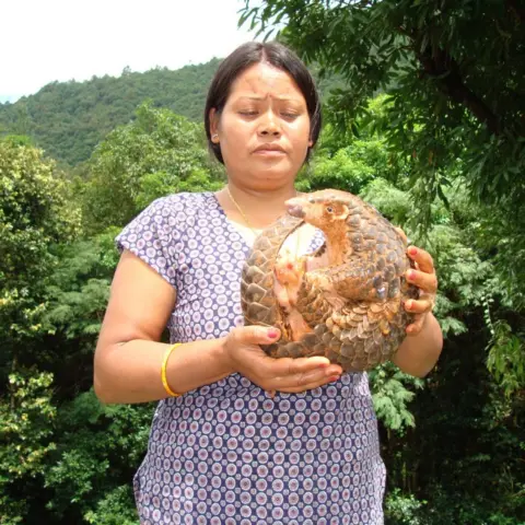 Tulsi Suwal holding a pangolin