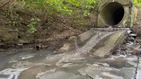 The opening of a large concrete pipe. Below it, dirty grey water in a stream.