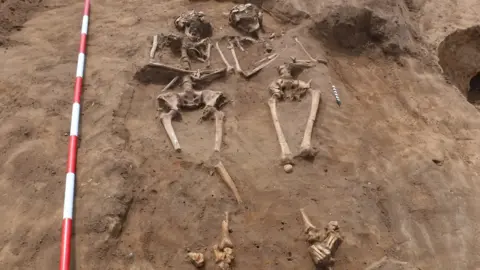 Allen Archaeology Skeletons