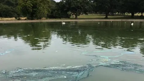 Marie Keates Southampton boating lake