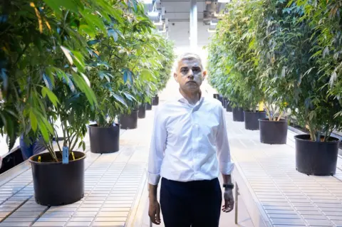 PA Media Sadiq Khan at a cannabis farm